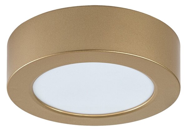 Rabalux SHAUN PLUS LED vonkajšie stropné svietidlo 75077