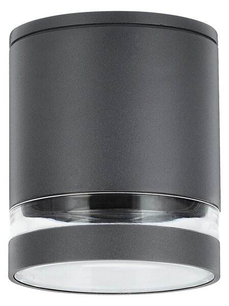 Rabalux Vonkajšie stropné prisadené svietidlo Zombor 1x35W | GU10 | IP54 - antracit 7817