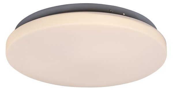 Rabalux LED stropné svietidlo Rob 1x20W | 1400lm | 3000K - priemer 29cm