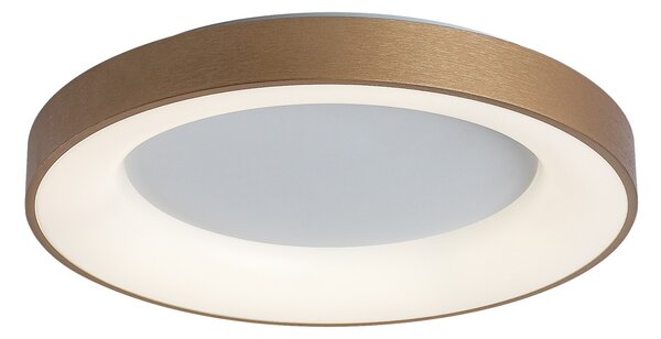 Rabalux LED stropné kruhové svietidlo Carmella 50W | 3400lm | 4000K | IP20 - biela so zlatou