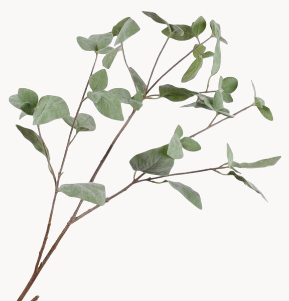 Rastlinné dekorácie Kalanchoe, 2 ks