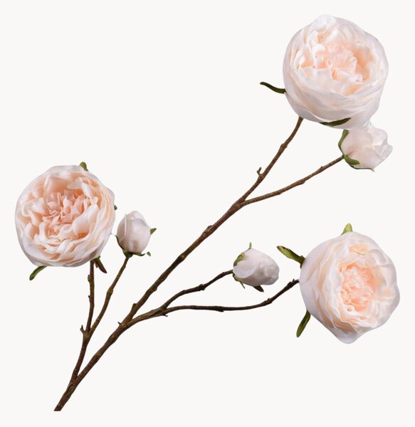 Rastlinné dekorácie Rose, 2 ks