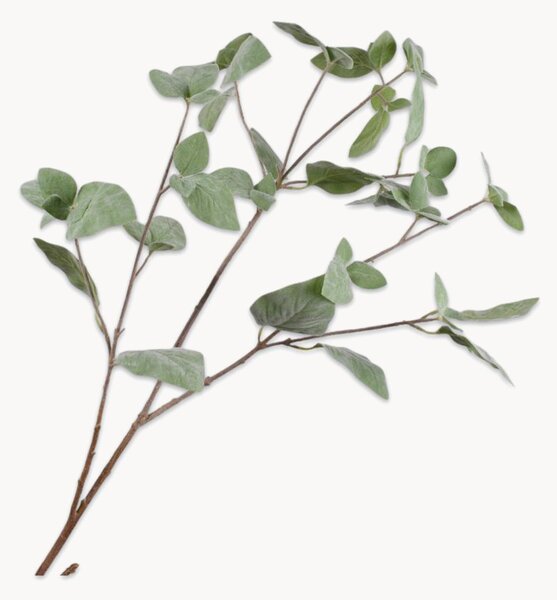 Rastlinné dekorácie Kalanchoe, 2 ks