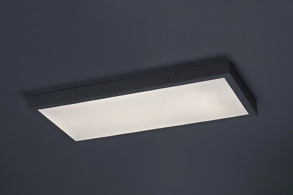 Rabalux DAMEK2 LED stropné svietidlo 71077
