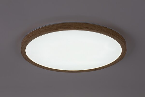 Rabalux LAUTREC LED vonkajšie stropné svietidlo 75085