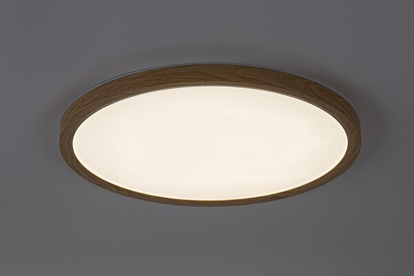 Rabalux LAUTREC LED vonkajšie stropné svietidlo 75085