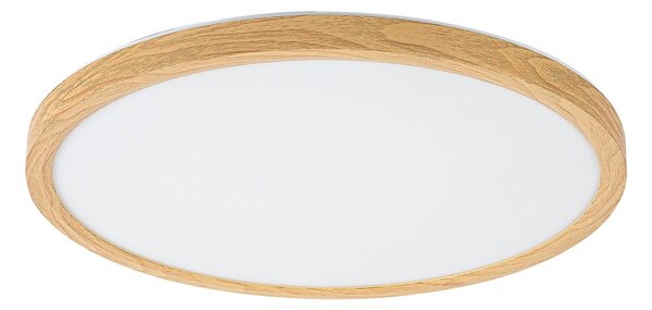 Rabalux LAUTREC LED vonkajšie stropné svietidlo 75085