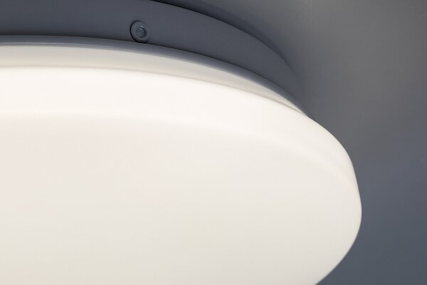 Rabalux LUCAS2 LED stropné svietidlo 71501