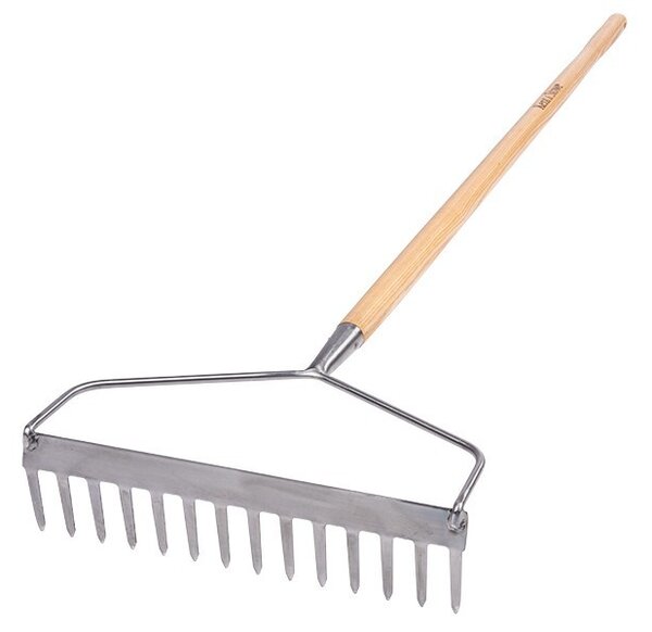 Hrable jeseňové