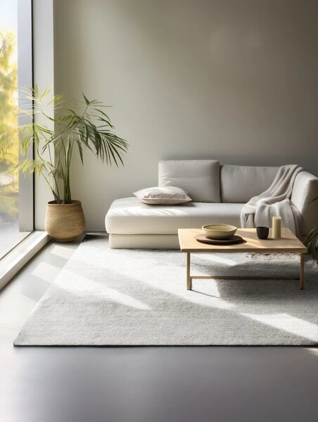 Hanse Home, Kusový koberec Jaipur 106325 White, 80x150, biela, chodba / predsieň