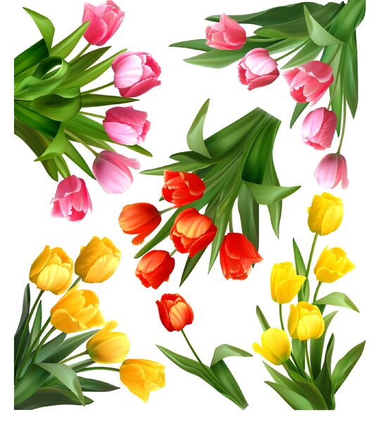 60x70cm Tulipány - textilná nálepka na stenu