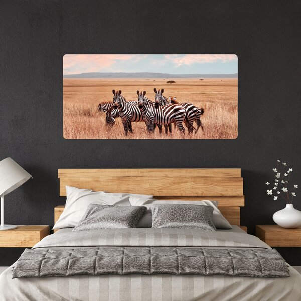 60x120cm Zebry v afrike - textilná nálepka na stenu