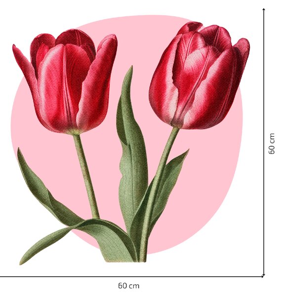 60x60cm Tulipány - textilná nálepka na stenu