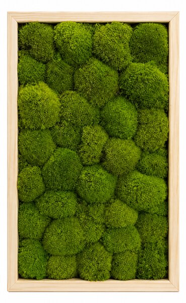 Machový obraz 50x30cm kopčeky