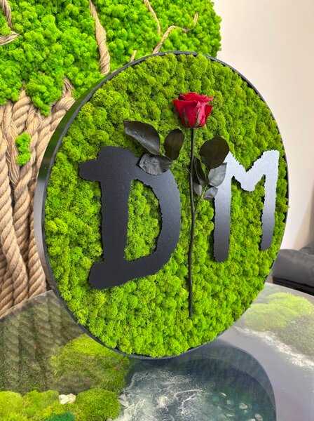 Machový obraz - Depeche Mode Veľkosť rámu: 30cm
