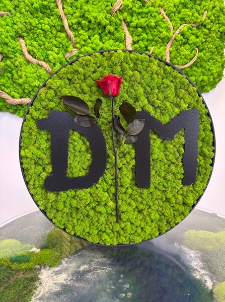 Machový obraz - Depeche Mode Veľkosť rámu: 30cm