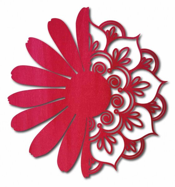 Obraz na stenu kvet - MARGARÉTKA 4011 PR0368