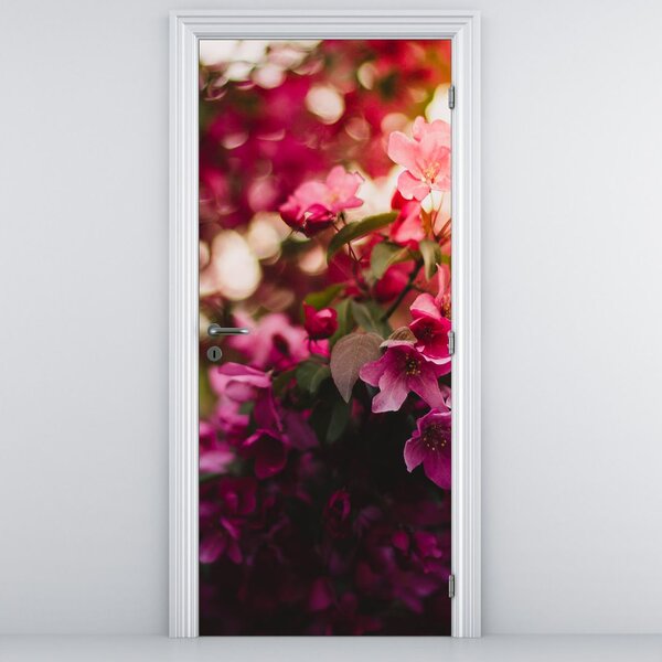 Fototapeta na dvere - Kvety rozvinutého kríka (95x205cm)