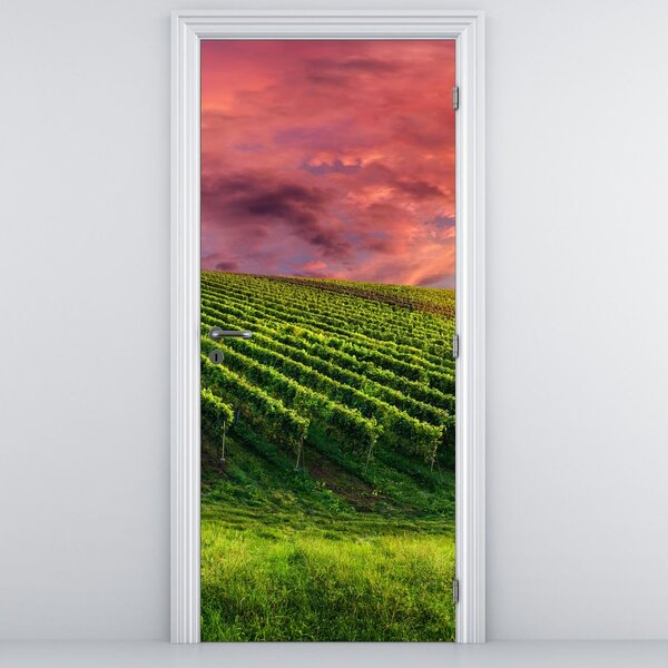Fototapeta na dvere - Vinohrad s farebným nebom (95x205cm)
