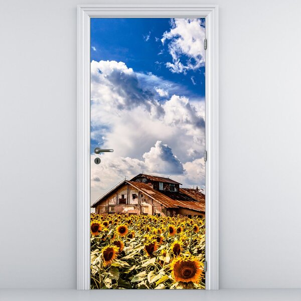 Fototapeta na dvere - Slnečnicové pole (95x205cm)