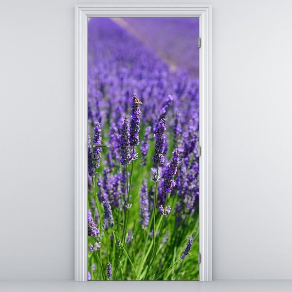 Fototapeta na dvere - Levanduľa (95x205cm)