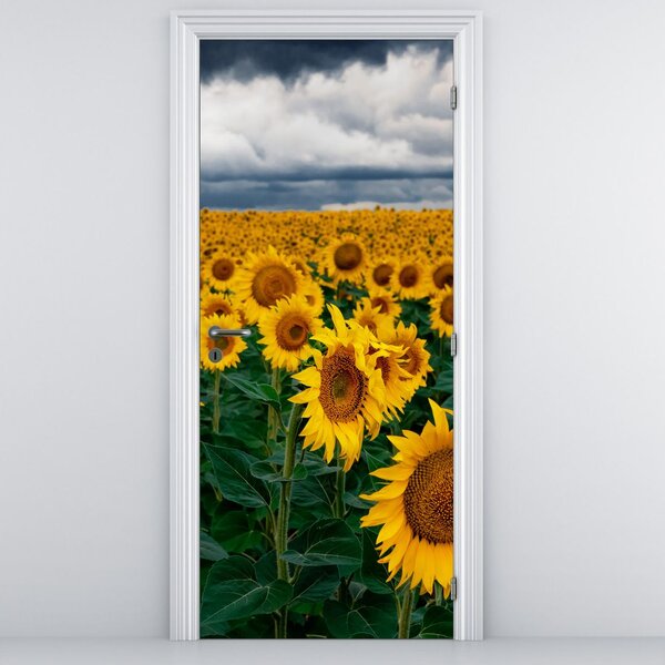 Fototapeta na dvere - Slnečnicové pole (95x205cm)