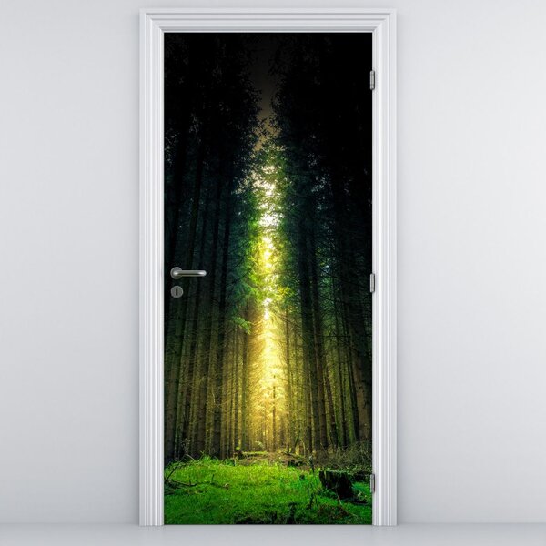 Fototapeta na dvere - Temný les (95x205cm)