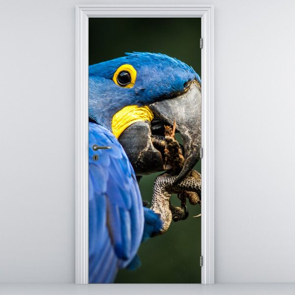 Fototapeta na dvere - Papagáj (95x205cm)