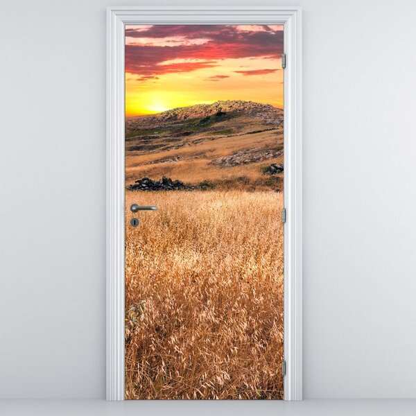 Fototapeta na dvere - Pole (95x205cm)