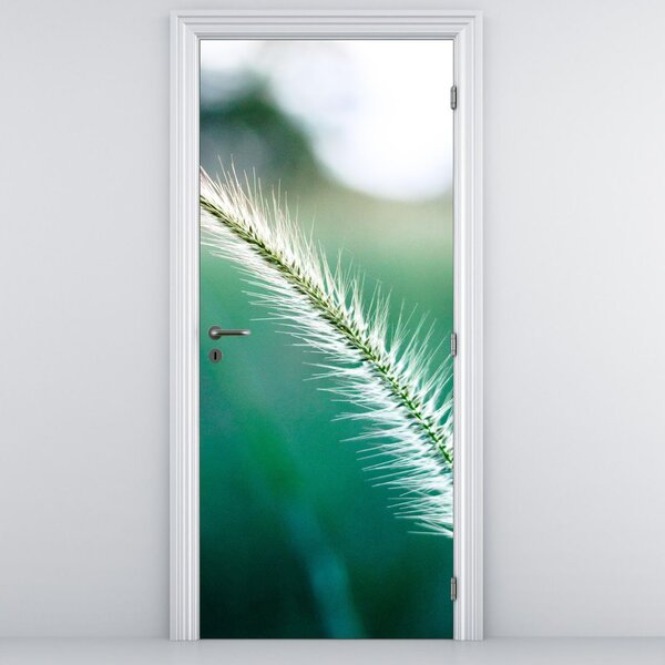 Fototapeta na dvere - Steblo trávy (95x205cm)