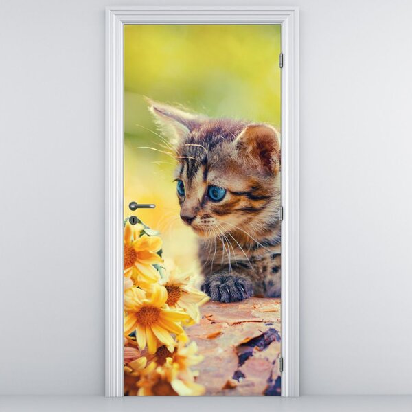 Fototapeta na dvere - Mačiatko dívajúce sa na kvetinu (95x205cm)