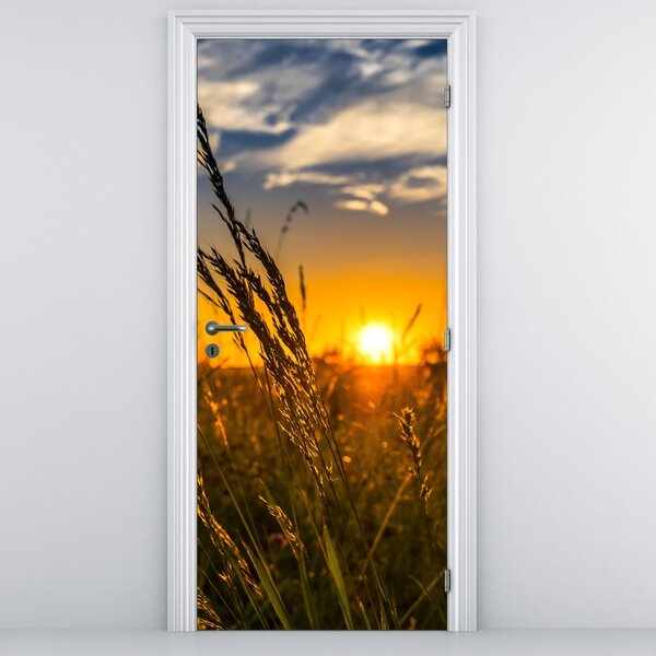 Fototapeta na dvere - Pole pri západe slnka (95x205cm)