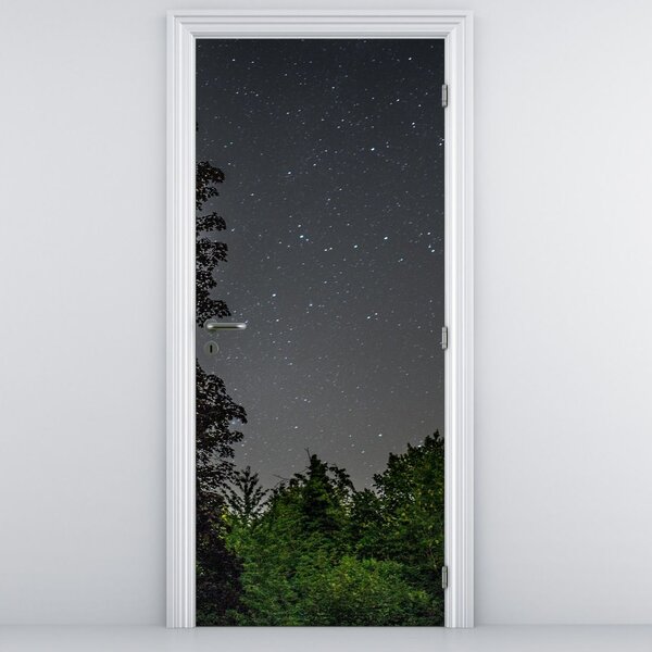 Fototapeta na dvere - Nočná obloha (95x205cm)