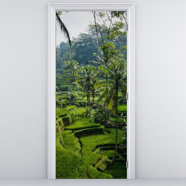 Fototapeta na dvere - Ryžové terasy Tegalalang (95x205cm)