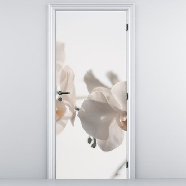 Fototapeta na dvere - Biele orchidey (95x205cm)