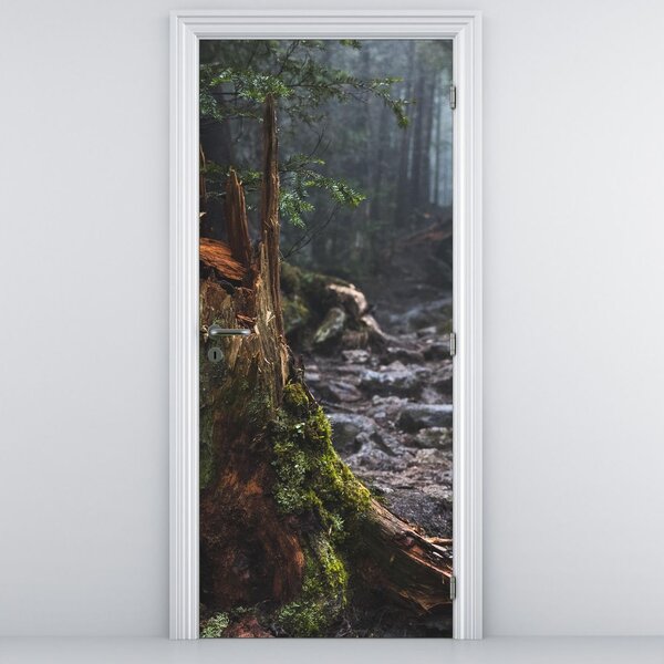 Fototapeta na dvere - V lese (95x205cm)