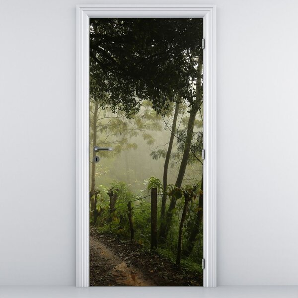 Fototapeta na dvere - Ranná hmla (95x205cm)