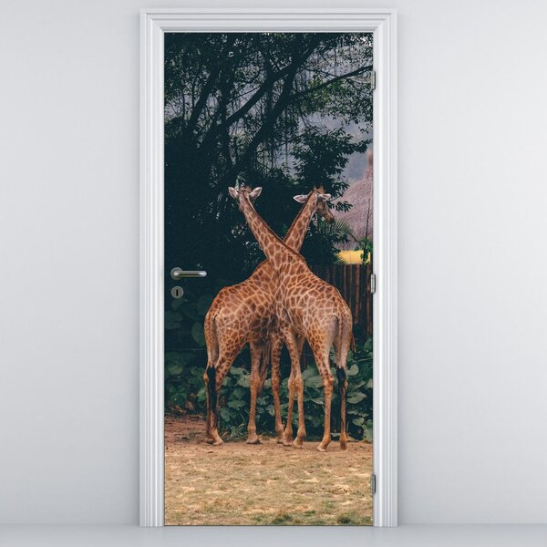 Fototapeta na dvere - Dve Žirafy (95x205cm)