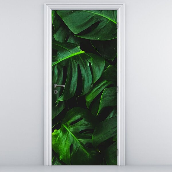Fototapeta na dvere - Listy Monstery (95x205cm)