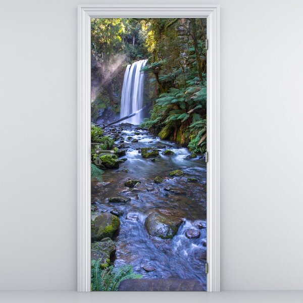 Fototapeta na dvere - Austrálsky dažďový les (95x205cm)