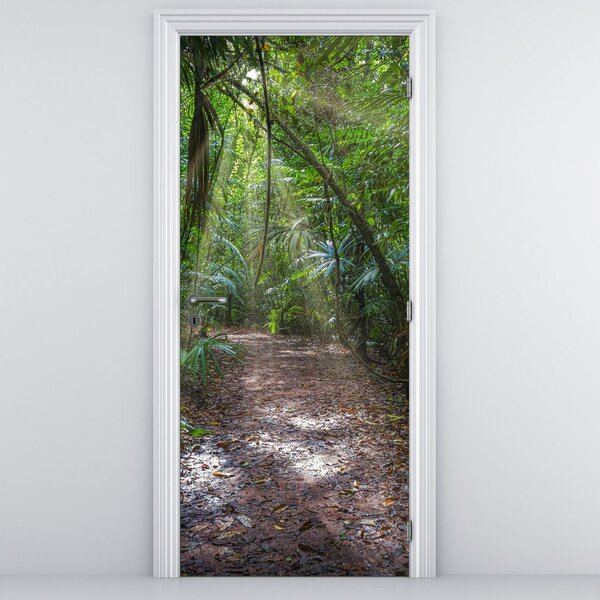 Fototapeta na dvere - Slnečné lúče v džungli (95x205cm)