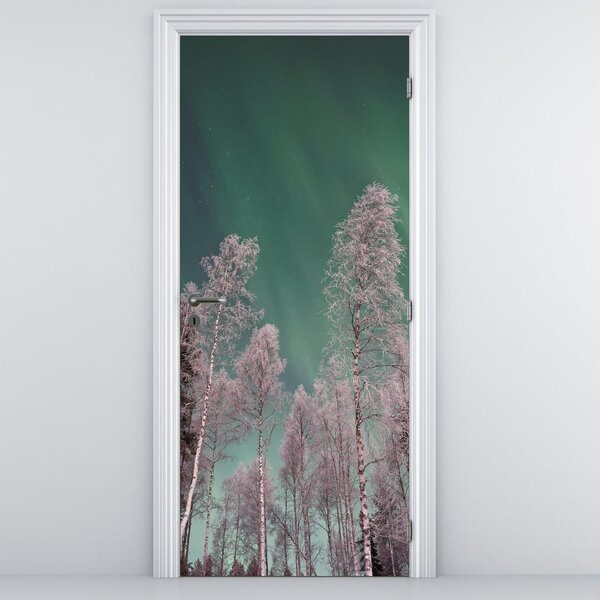 Fototapeta na dvere - Polárna žiara nad zmrznutými stromami (95x205cm)