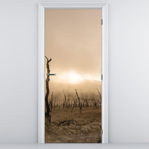 Fototapeta na dvere - Holé stromy (95x205cm)