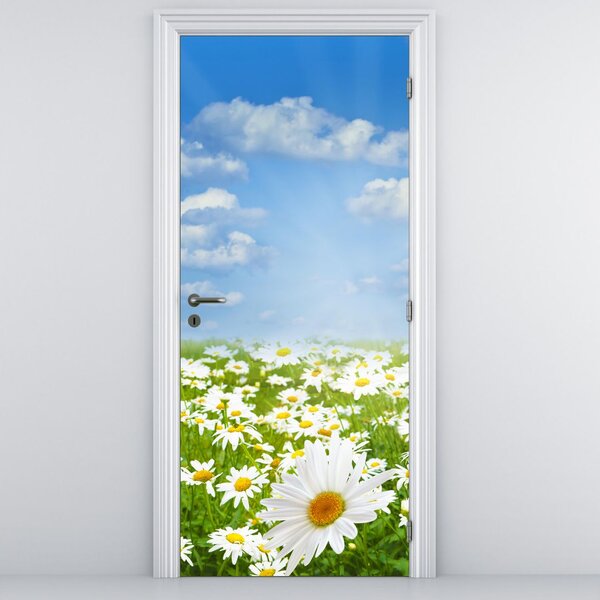 Fototapeta na dvere - Rozkvitnutá lúka s margarétami (95x205cm)