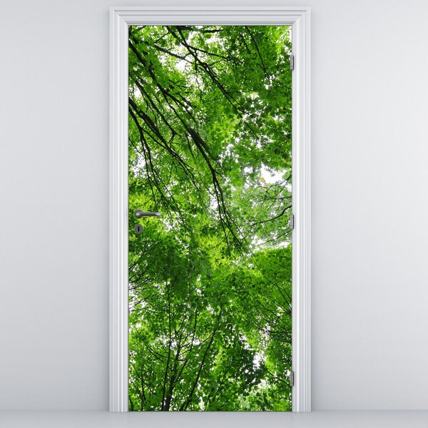 Fototapeta na dvere - Pohľad do korún stromov (95x205cm)