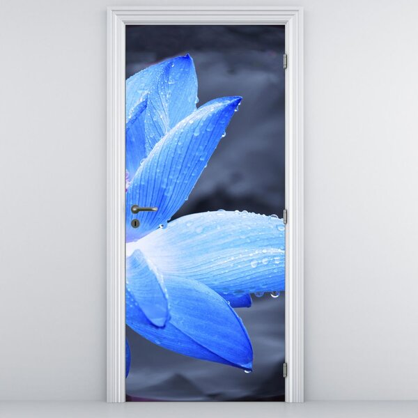 Fototapeta na dvere - Kvet v detaile (95x205cm)