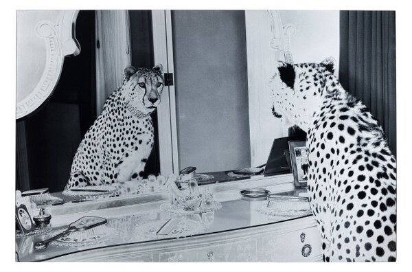 KARE DESIGN Sklenený obraz Metallic Gepard 100×150 cm 100 × 150 cm