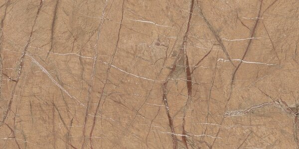 The Rock FOGOLD6 12 RM 60x120