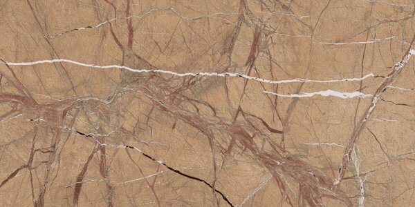 The Rock FOGOLD6 12 RM 60x120