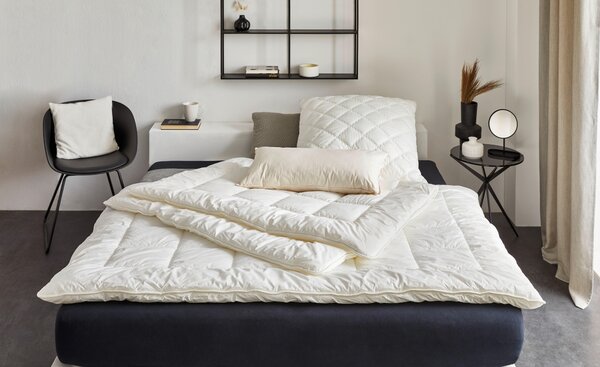 CELOROČNÁ PRIKRÝVKA, 200/200 cm, polyester Billerbeck - Prikrývky & vankúše